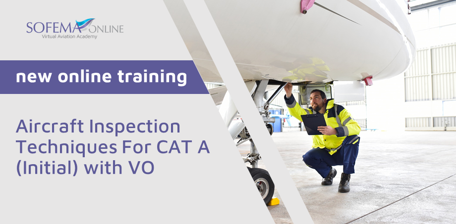 Gain awareness regarding the Best Practice Techniques for Aircraft Inspection – Sign up for the new online training