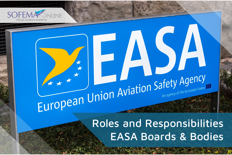 Role-and- Responsibilities- EASA-Boars-Bodies