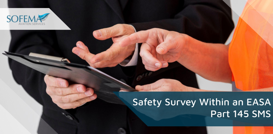 Safety-Survey