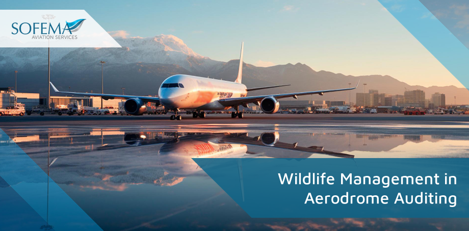 Sofema Aviation Services (SAS) at www.sassofia.com considers a wide range of aerodrome auditing aspects across various business sectors and components, addressing specific issues and challenges for each area.