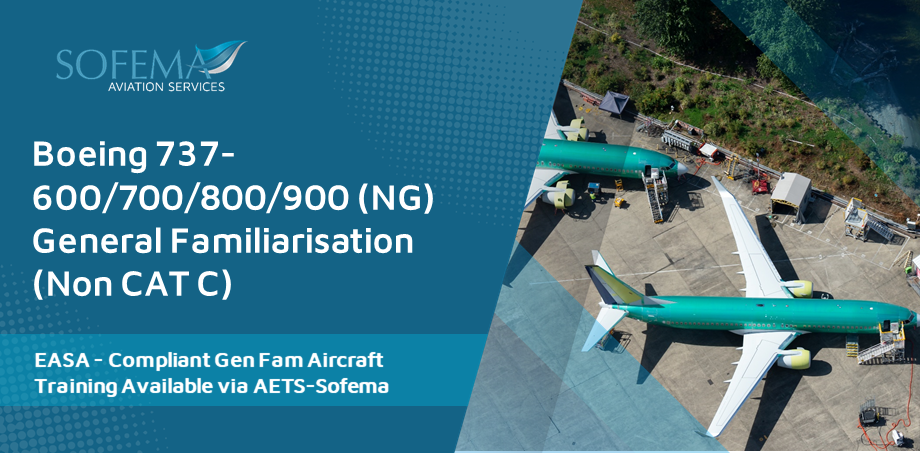 Boeing 737-600-700-800-900 - (NG)