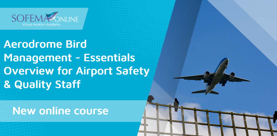 Aerodrome Bird Management image