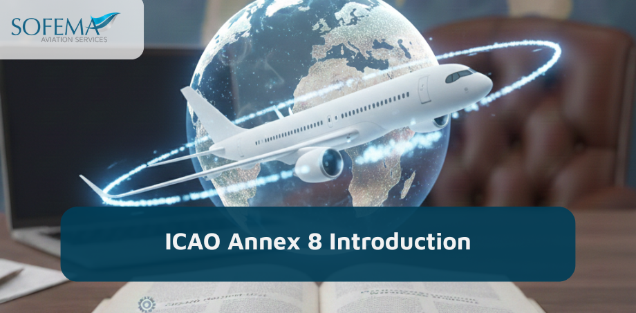 Annex 8