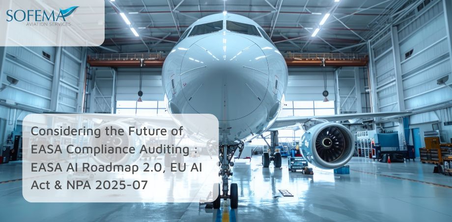 EASA Compliance Auditing image