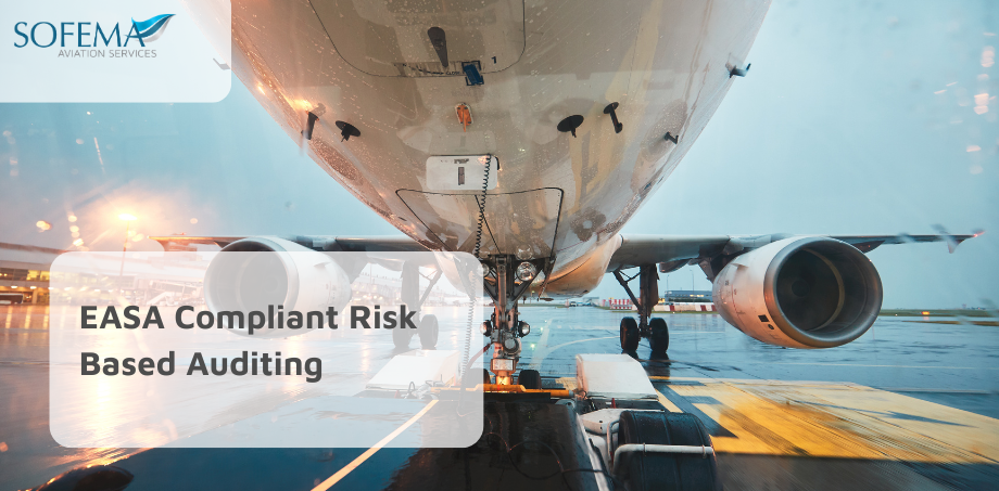 EASA Compliant Risk Based Auditing image