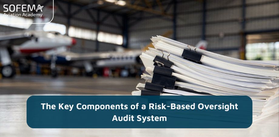 Risk-Based Oversight (RBO)